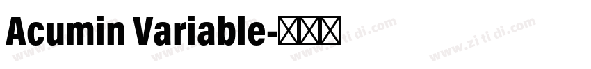 Acumin Variable字体转换